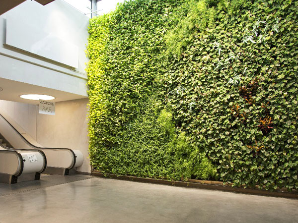 深圳微甜绿墙|真花植物墙|生态绿植墙|垂直绿化墙|施工维护