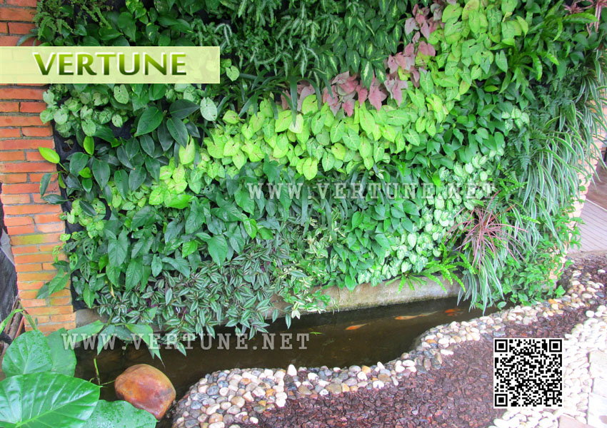 生态水景植物墙案例图片