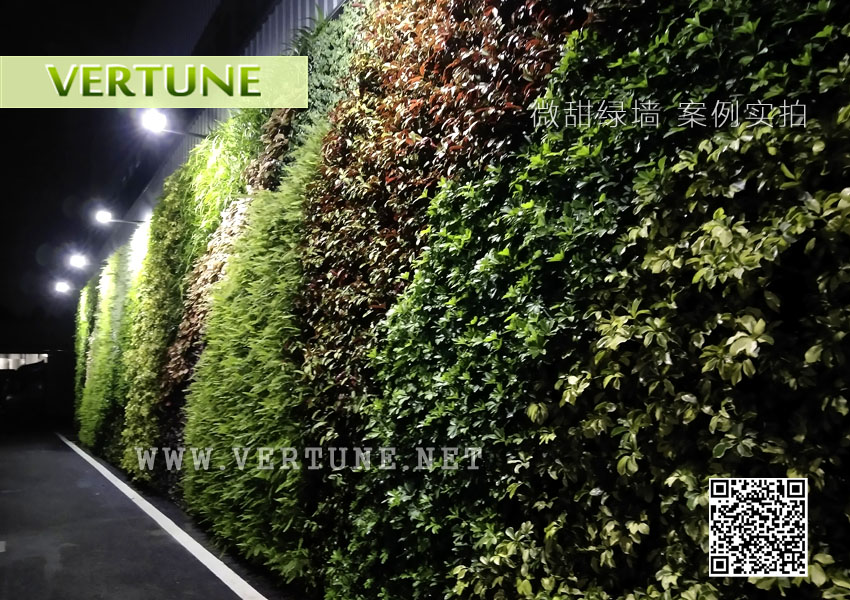 惠州广隆纸品绿植墙