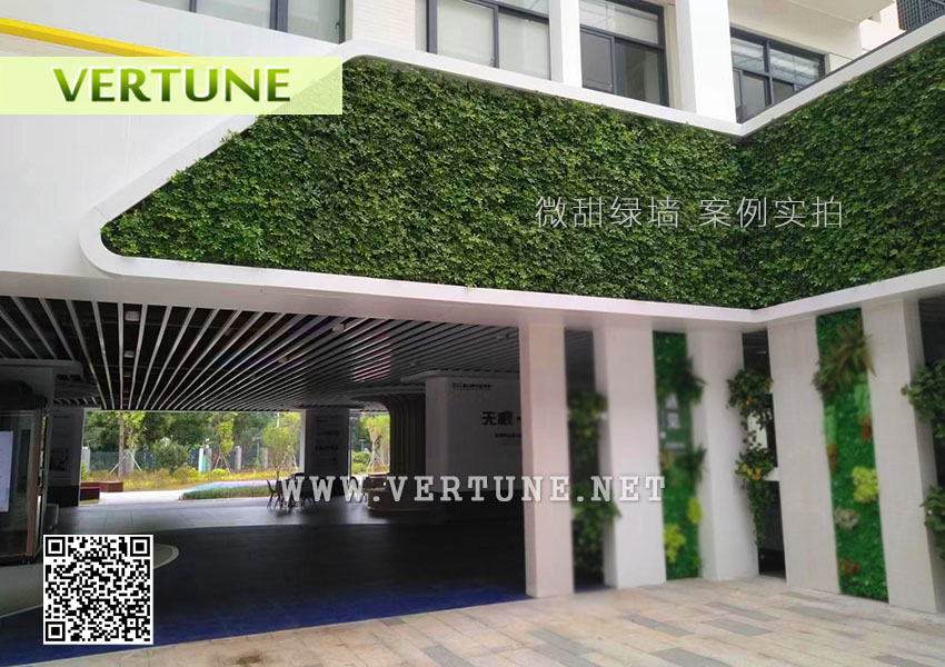 东莞松山湖北区学校绿植墙案例图片